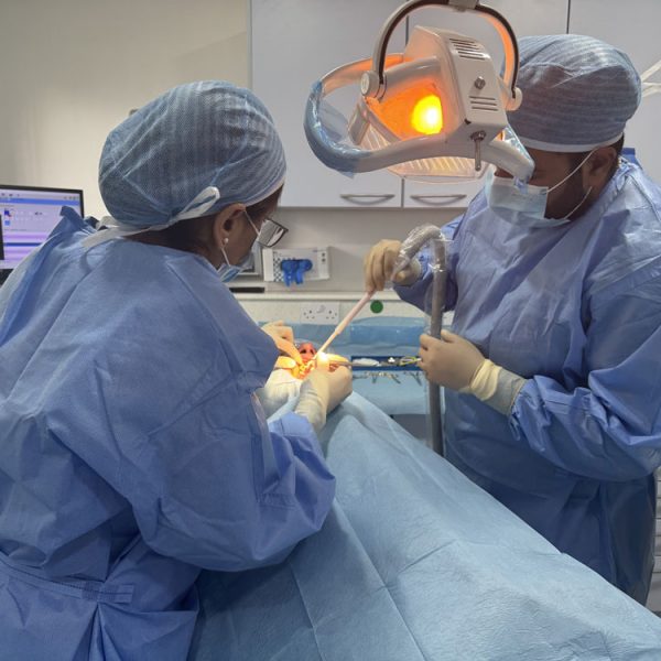 imperial-dental-img-1